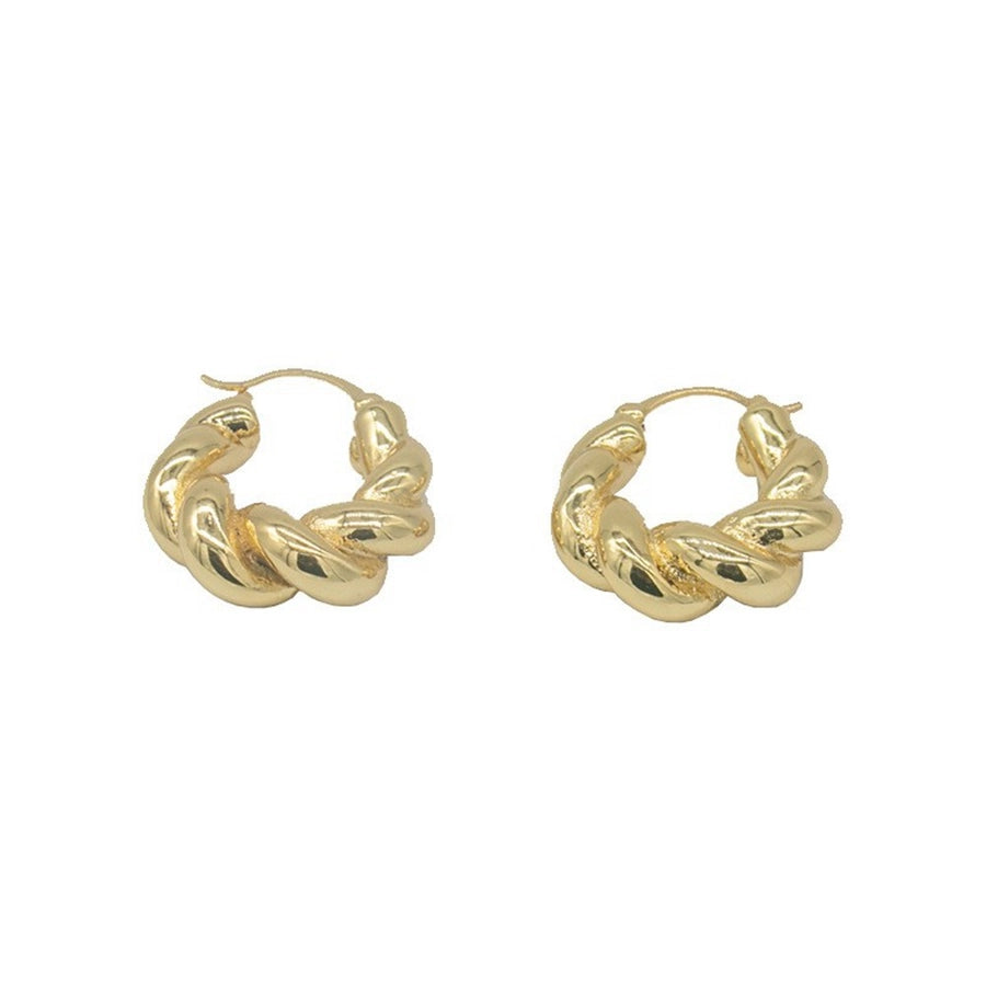 RKL™ Retro Solid Color Plating Alloy Hoop Earrings